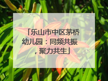 乐山市中区茅桥幼儿园：同频共振，聚力共生