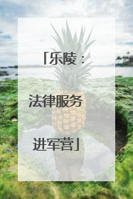 乐陵：法律服务进军营