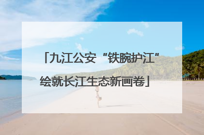 九江公安“铁腕护江”绘就长江生态新画卷