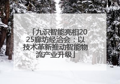 九识智能亮相2025廊坊经洽会：以技术革新推动智能物流产业升级