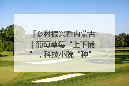 乡村振兴看内蒙古｜葡萄草莓“上下铺”，科技小院“种”出三倍效益
