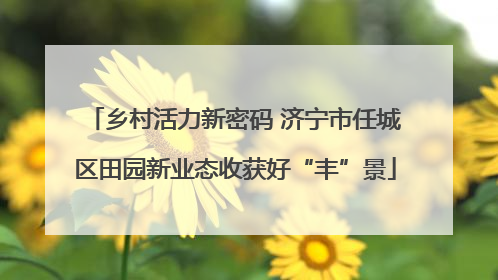 乡村活力新密码 济宁市任城区田园新业态收获好“丰”景