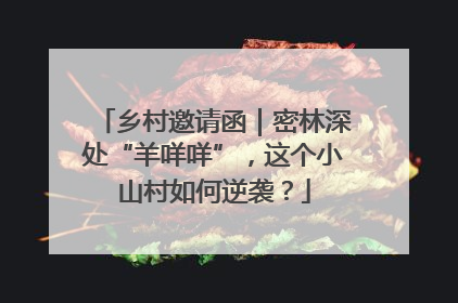 乡村邀请函｜密林深处“羊咩咩”，这个小山村如何逆袭？