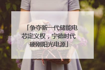 争夺新一代储能电芯定义权，宁德时代硬刚阳光电源