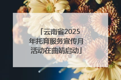 云南省2025年托育服务宣传月活动在曲靖启动