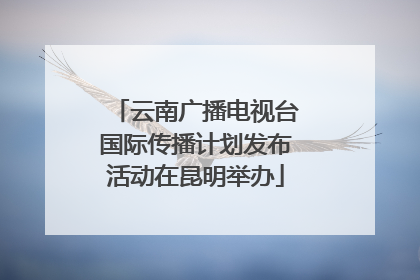 云南广播电视台国际传播计划发布活动在昆明举办