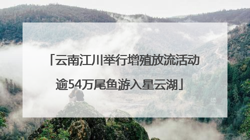 云南江川举行增殖放流活动 逾54万尾鱼游入星云湖