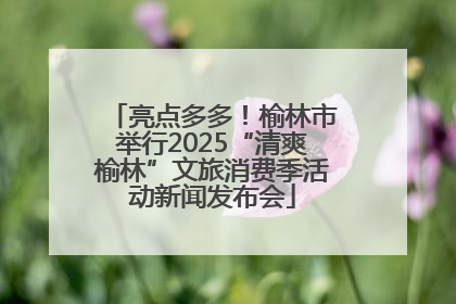 亮点多多！榆林市举行2025“清爽榆林”文旅消费季活动新闻发布会