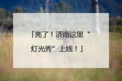 亮了！济南这里“灯光秀”上线！