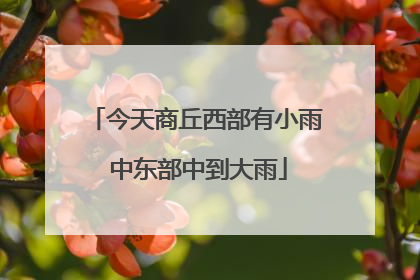 今天商丘西部有小雨 中东部中到大雨