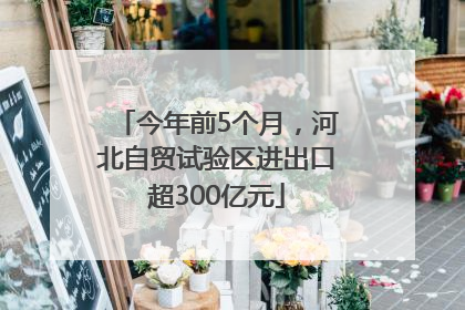 今年前5个月，河北自贸试验区进出口超300亿元