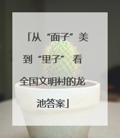 从“面子”美到“里子” 看全国文明村的龙池答案