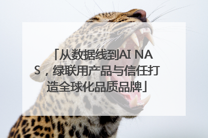 从数据线到AI NAS，绿联用产品与信任打造全球化品质品牌