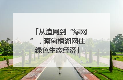 从渔网到“绿网”，蔡甸桐湖网住绿色生态经济