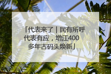代表来了｜民有所呼代表有应，增江400多年古码头焕新