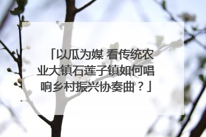 以瓜为媒 看传统农业大镇石莲子镇如何唱响乡村振兴协奏曲？