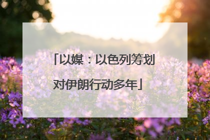 以媒：以色列筹划对伊朗行动多年