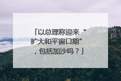 以总理称迎来“扩大和平窗口期”，包括加沙吗？