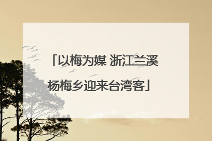以梅为媒 浙江兰溪杨梅乡迎来台湾客