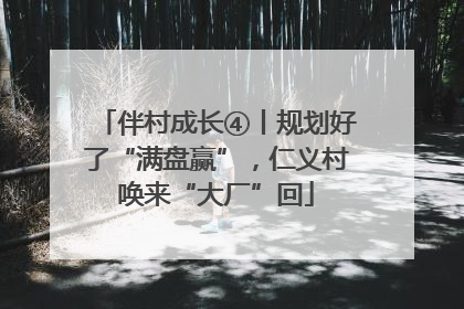 伴村成长④丨规划好了“满盘赢”，仁义村唤来“大厂”回