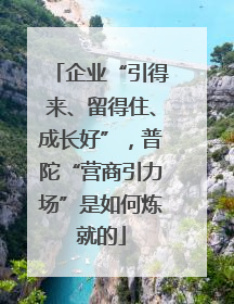企业“引得来、留得住、成长好”，普陀“营商引力场”是如何炼就的