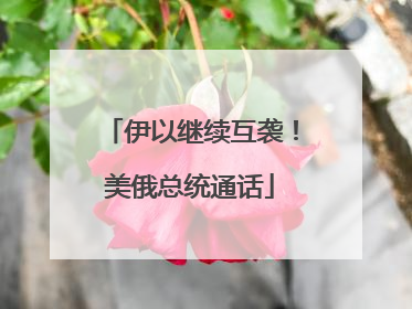 伊以继续互袭！美俄总统通话