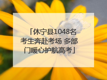 休宁县1048名考生奔赴考场 多部门暖心护航高考