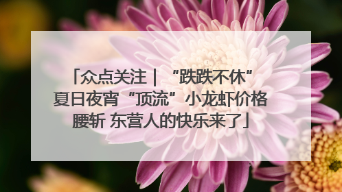众点关注｜“跌跌不休” 夏日夜宵“顶流”小龙虾价格腰斩 东营人的快乐来了