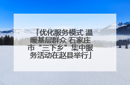 优化服务模式 温暖基层群众 石家庄市“三下乡”集中服务活动在赵县举行