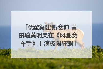 优酷闯出新赛道 黄景瑜黄明昊在《风驰赛车手》上演极限狂飙