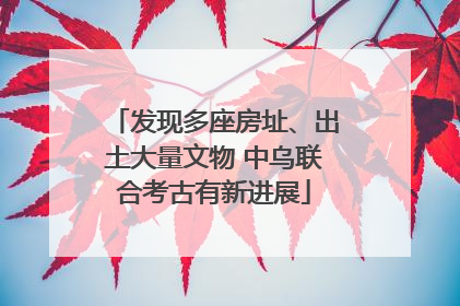 发现多座房址、出土大量文物 中乌联合考古有新进展
