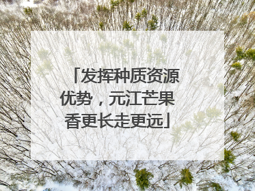 发挥种质资源优势，元江芒果香更长走更远