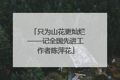 只为山花更灿烂——记全国先进工作者陈萍花
