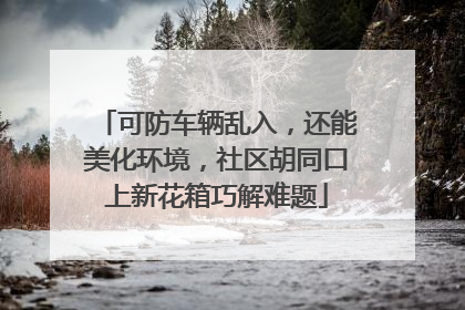可防车辆乱入，还能美化环境，社区胡同口上新花箱巧解难题