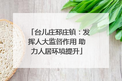 台儿庄邳庄镇：发挥人大监督作用 助力人居环境提升