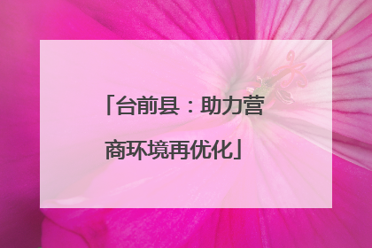 台前县：助力营商环境再优化