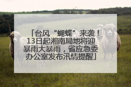 台风“蝴蝶”来袭！13日起湘南局地将迎暴雨大暴雨，省应急委办公室发布汛情提醒
