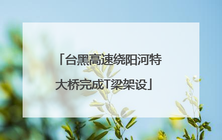 台黑高速绕阳河特大桥完成T梁架设