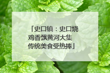 史口镇：史口烧鸡香飘黄河大集 传统美食受热捧