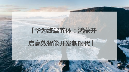 华为终端龚体：鸿蒙开启高效智能开发新时代