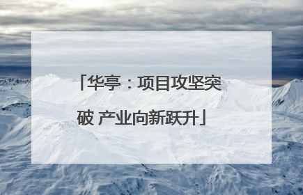 华亭：项目攻坚突破 产业向新跃升