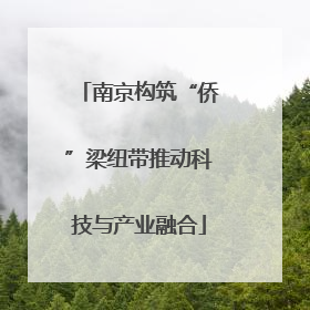 南京构筑“侨”梁纽带推动科技与产业融合