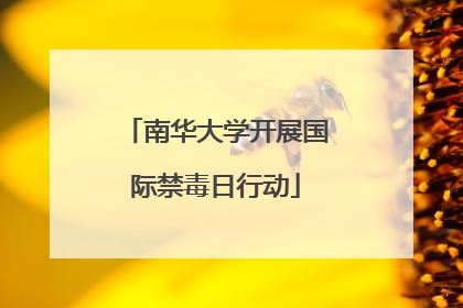 南华大学开展国际禁毒日行动