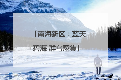 南海新区：蓝天碧海 群鸟翔集