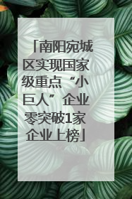 南阳宛城区实现国家级重点“小巨人”企业零突破1家企业上榜