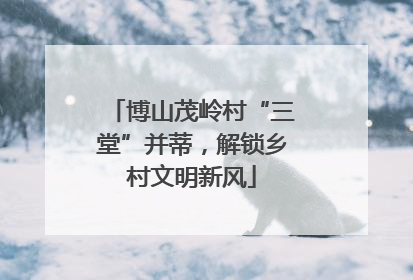 博山茂岭村“三堂”并蒂，解锁乡村文明新风