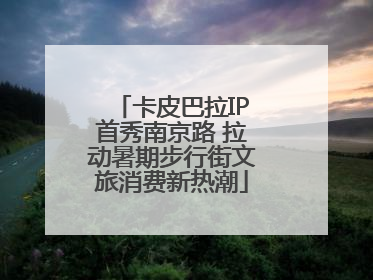 卡皮巴拉IP首秀南京路 拉动暑期步行街文旅消费新热潮