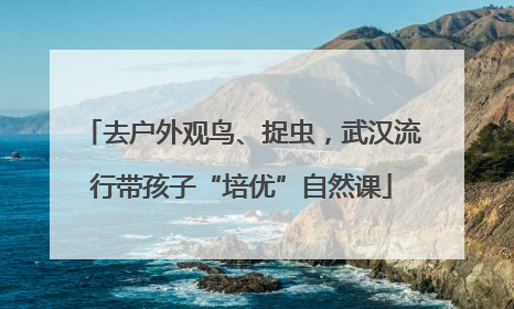 去户外观鸟、捉虫，武汉流行带孩子“培优”自然课