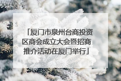 厦门市泉州台商投资区商会成立大会暨招商推介活动在厦门举行
