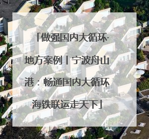 做强国内大循环·地方案例丨宁波舟山港：畅通国内大循环海铁联运走天下